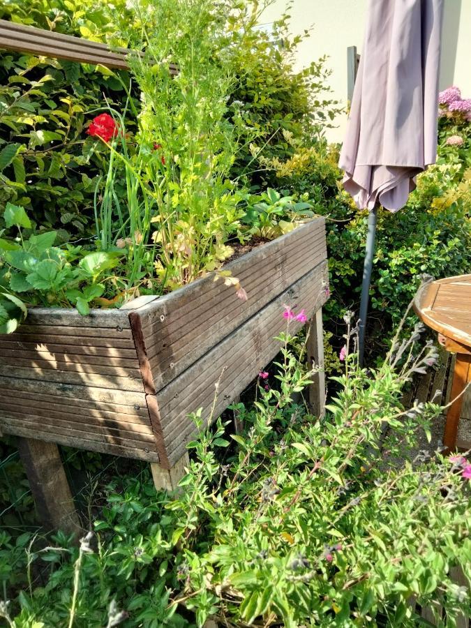 Brétignolles-sur-Mer Mer A Pied Vrai Lit Linge Fourni Jardin מראה חיצוני תמונה